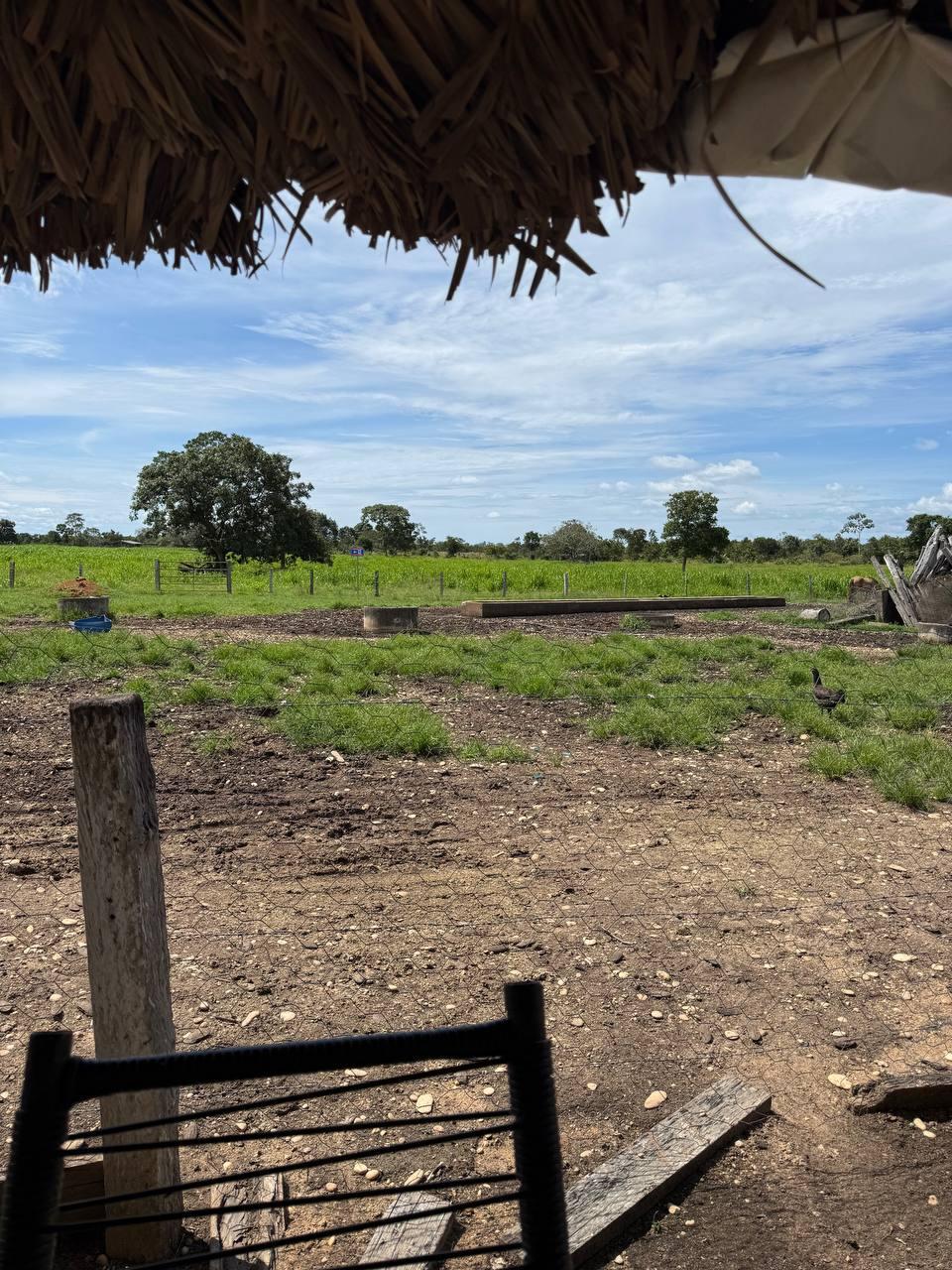 Fazenda Ebenezer